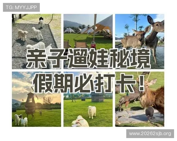 探索银河奶牛的神奇世界与未来发展趋势